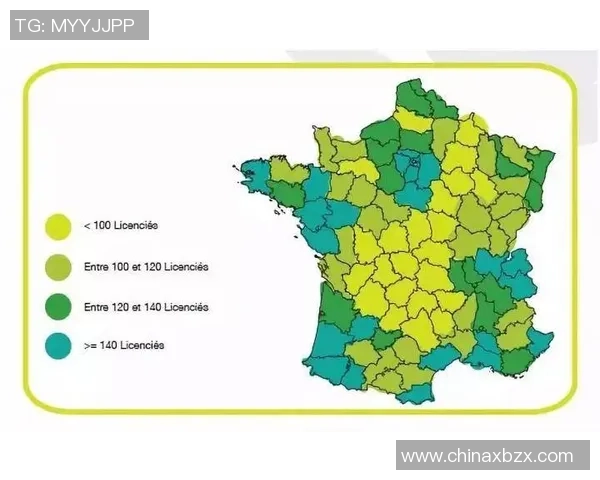 母亲为法国人背景的足球巨星及其成就解析 母亲为法国人背景的足球巨星及其成就解析
